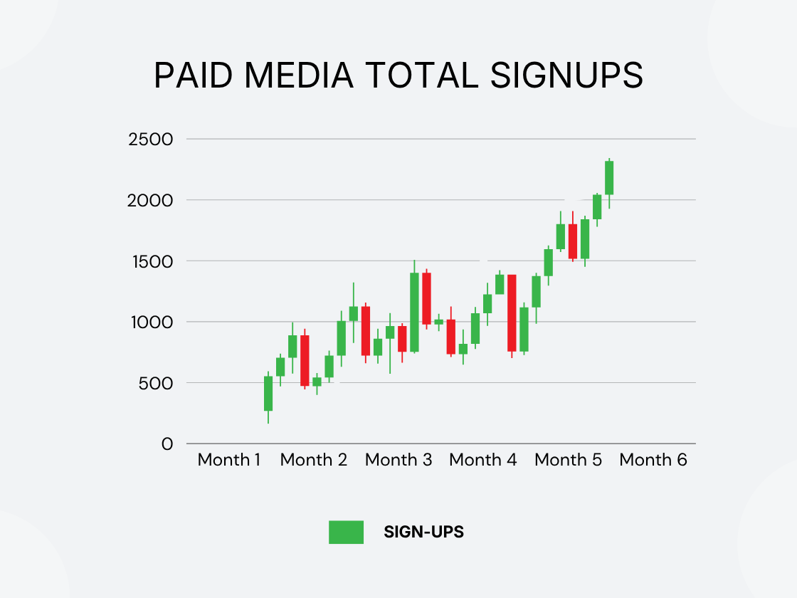 Paid Media & Growth · Paid Media Overview